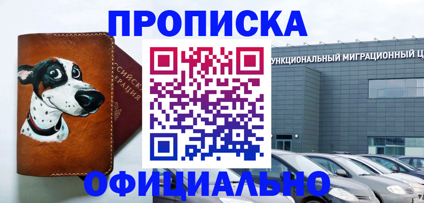 временная прописка в Шадринске